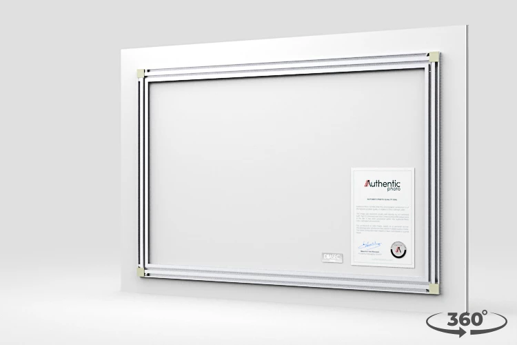 360 view of the product