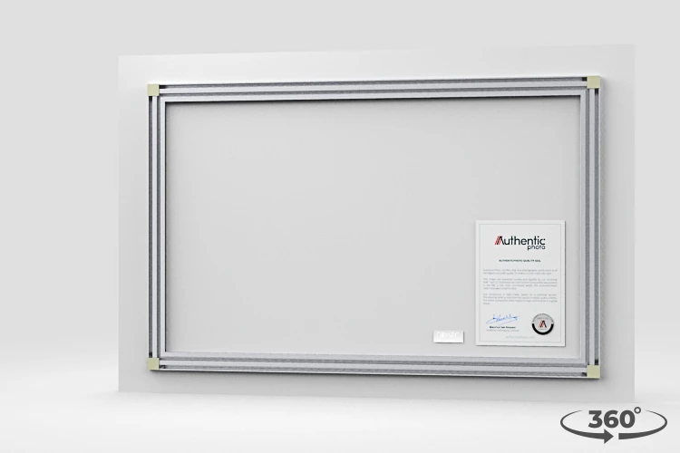 360 view of the product