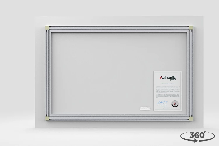 360 view of the product