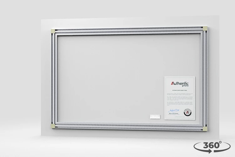 360 view of the product