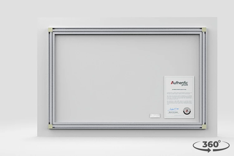 360 view of the product