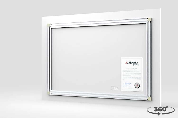 360 view of the product