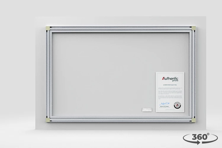 360 view of the product