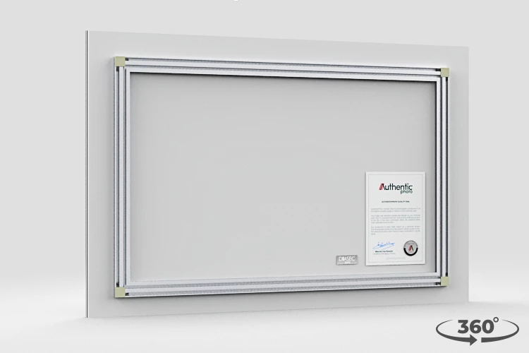 360 view of the product