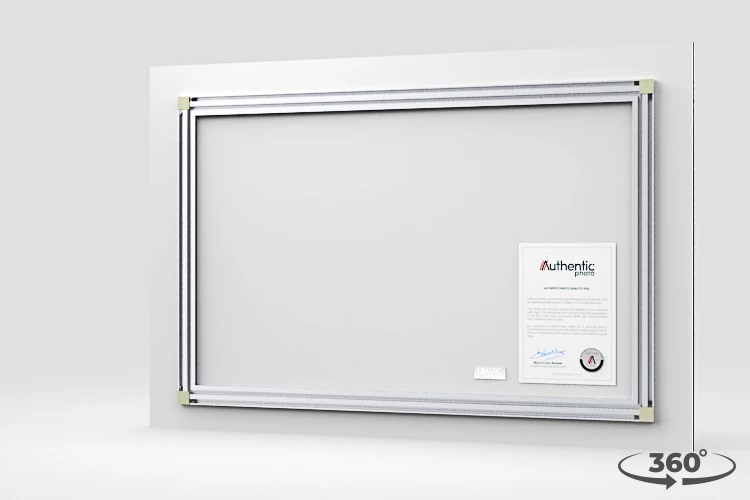 360 view of the product