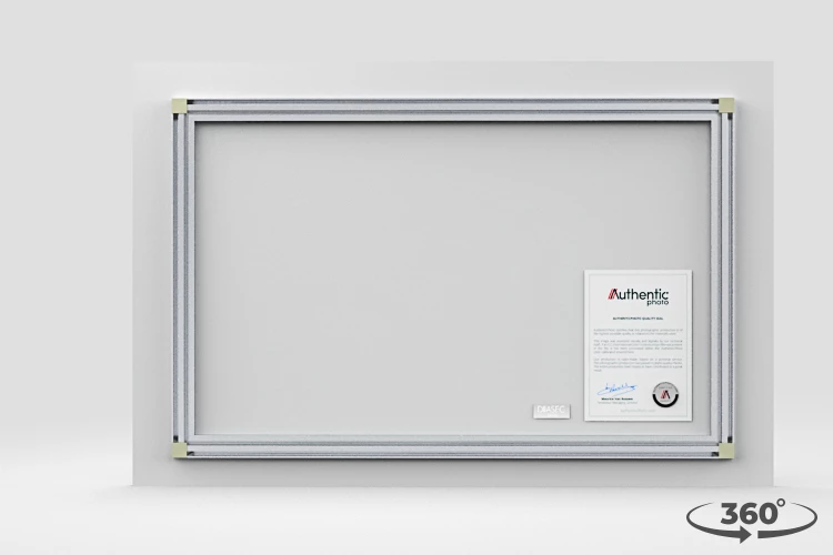 360 view of the product