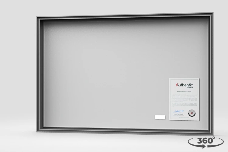 360 view of the product