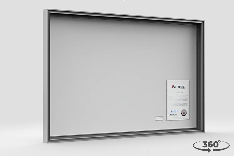 360 view of the product