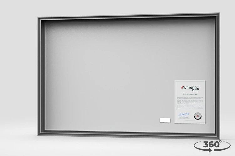 360 view of the product