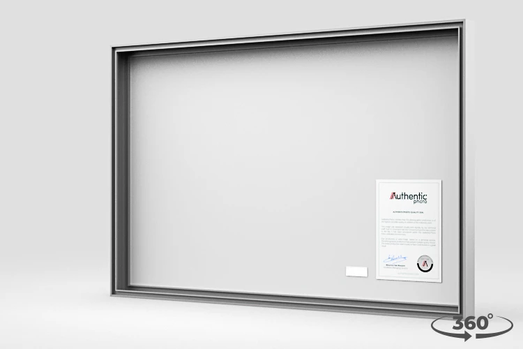 360 view of the product