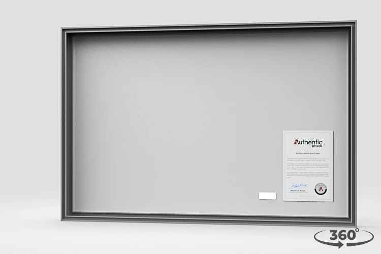 360 view of the product