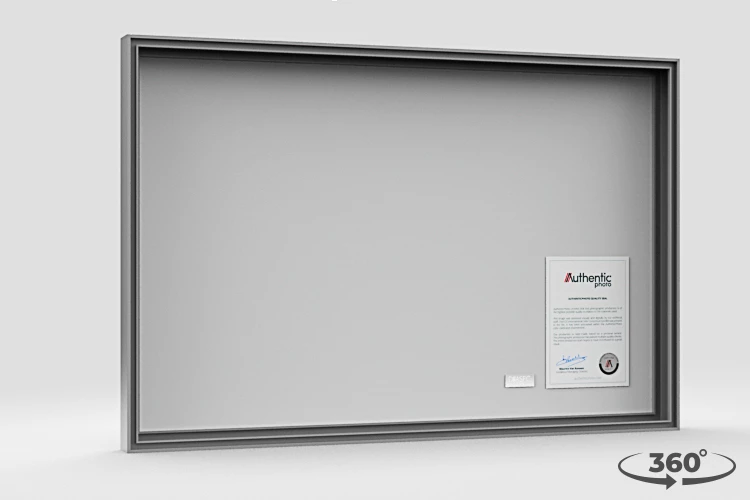 360 view of the product