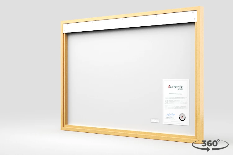 360 view of the product