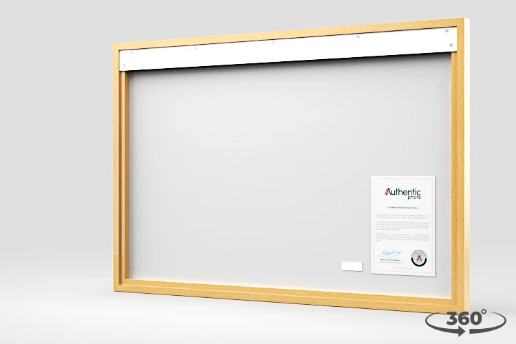 360 view of the product