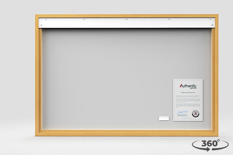 360 view of the product