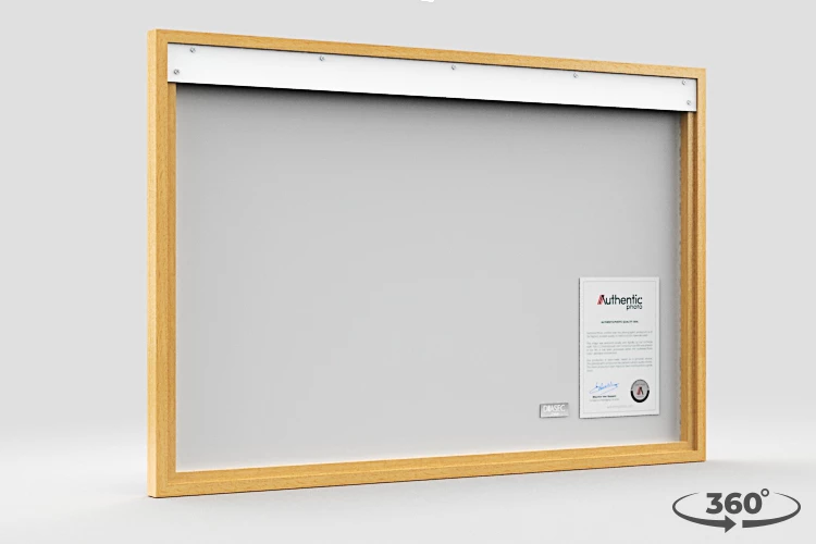 360 view of the product