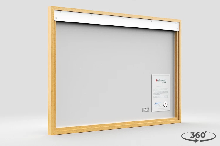 360 view of the product