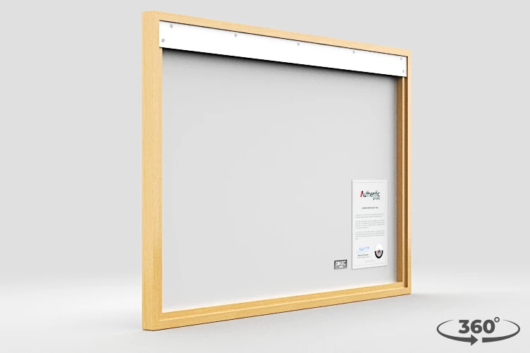 360 view of the product