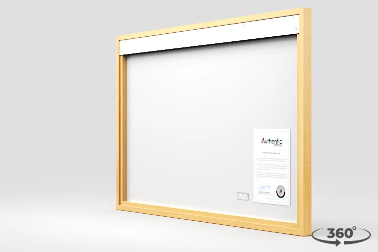 360 view of the product