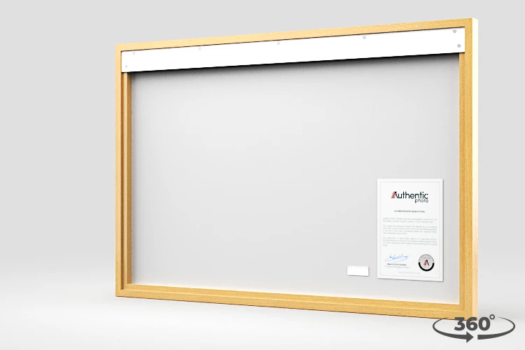 360 view of the product