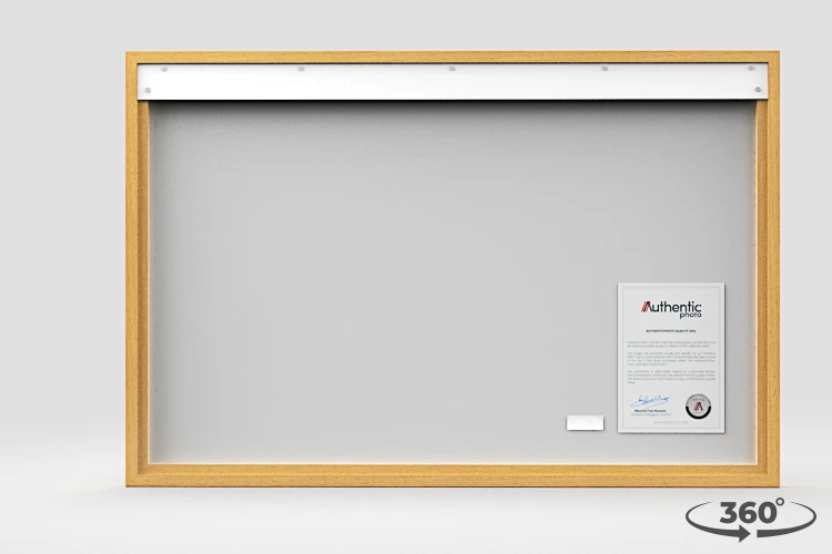 360 view of the product