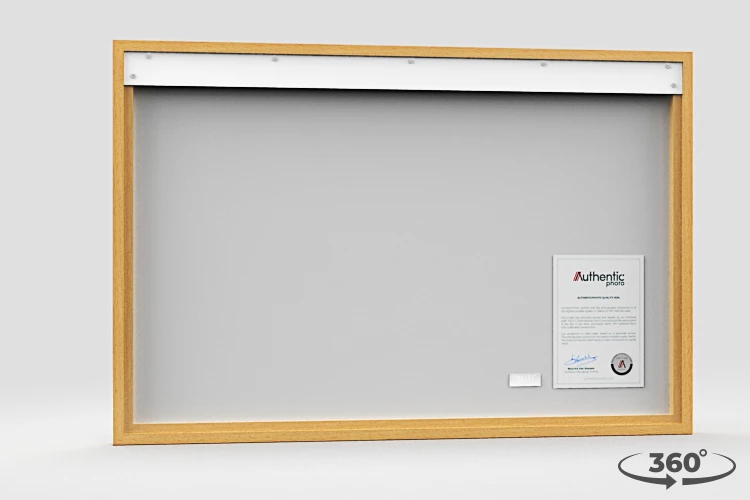 360 view of the product