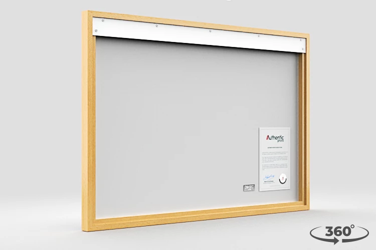 360 view of the product