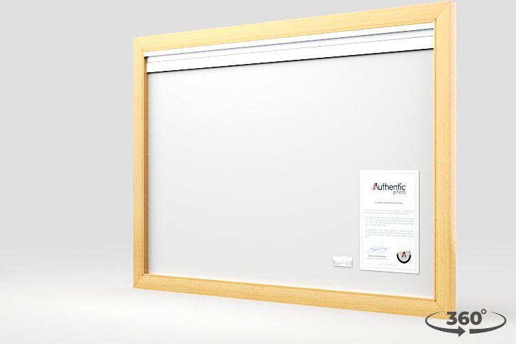 360 view of the product