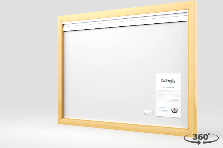 360 view of the product