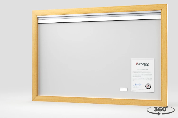 360 view of the product