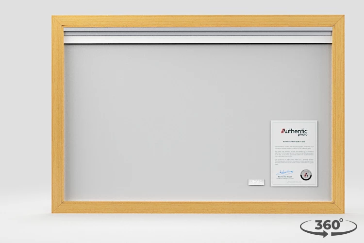 360 view of the product