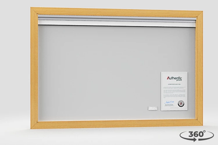 360 view of the product