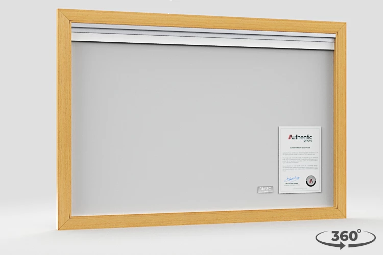 360 view of the product