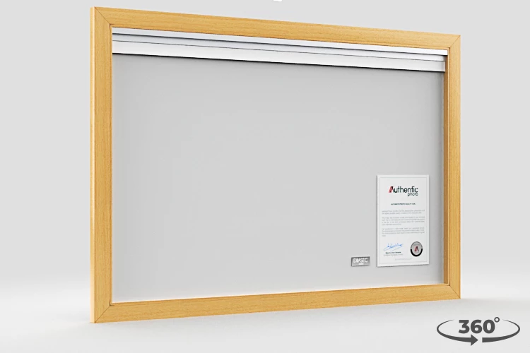 360 view of the product