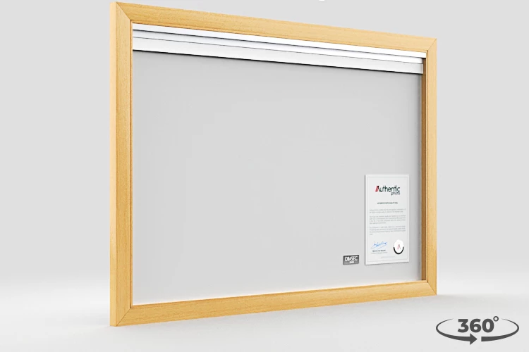 360 view of the product