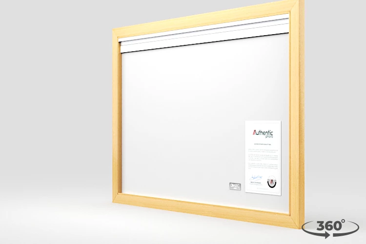 360 view of the product