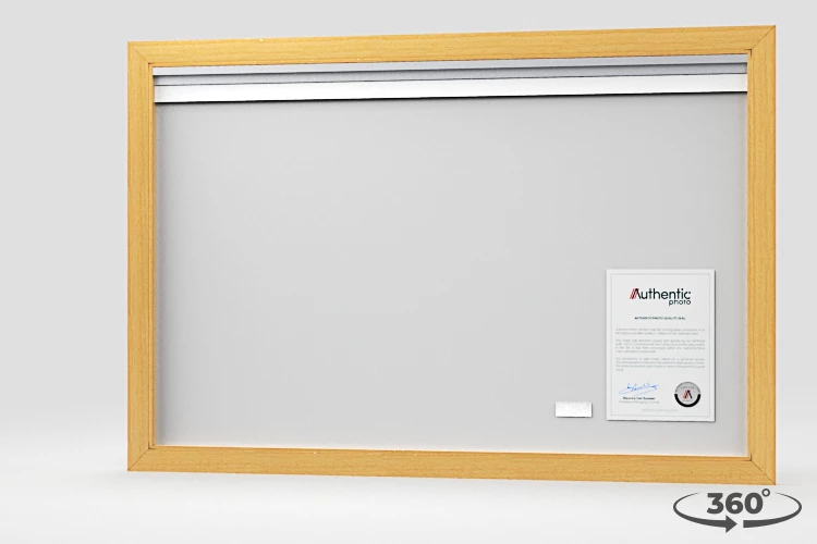 360 view of the product