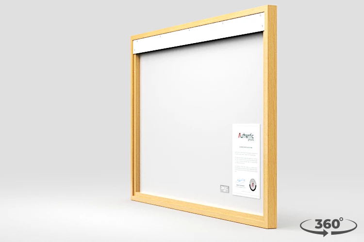 360 view of the product