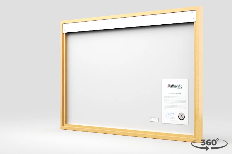 360 view of the product