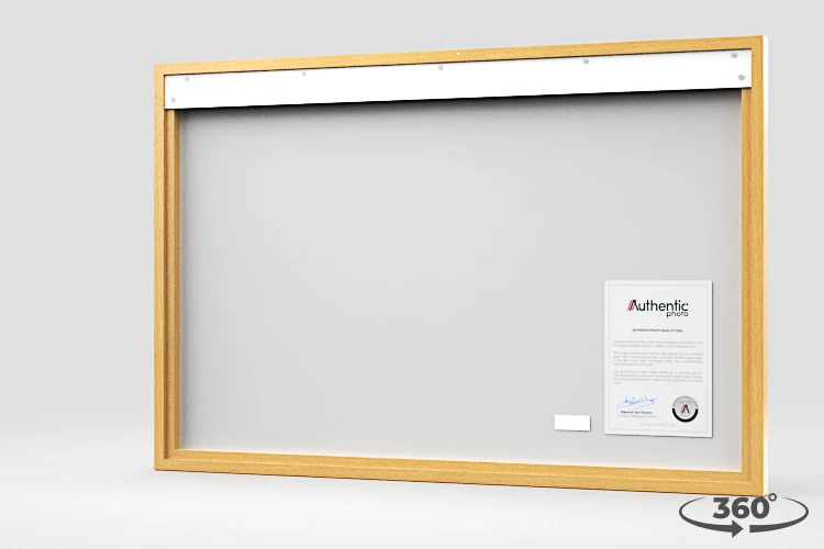 360 view of the product