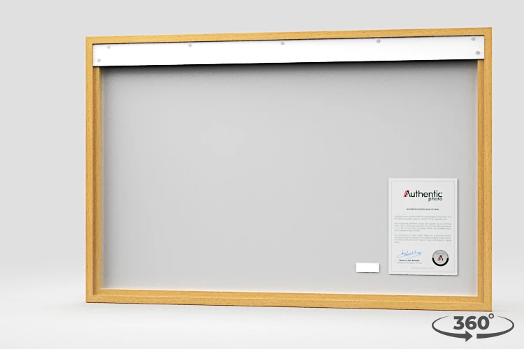 360 view of the product