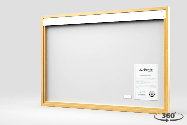 360 view of the product