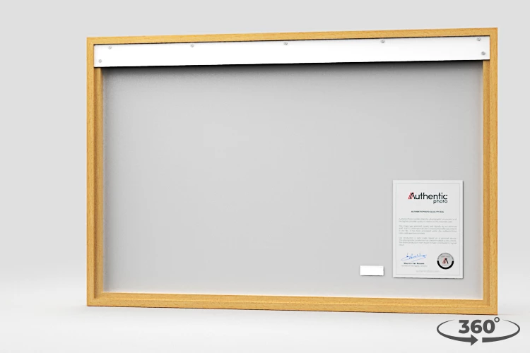 360 view of the product