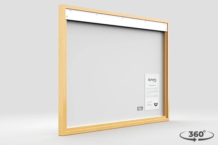 360 view of the product