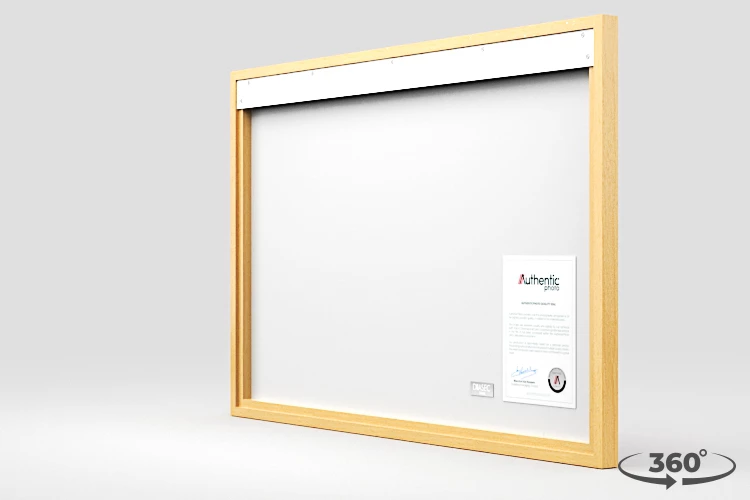 360 view of the product