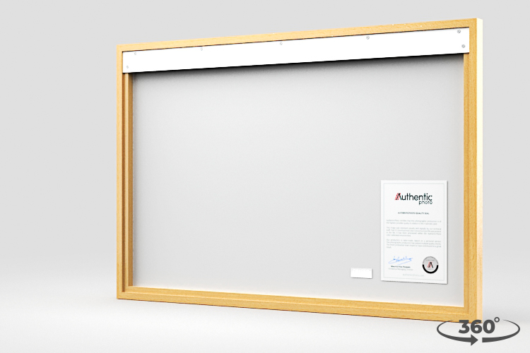 360 view of the product