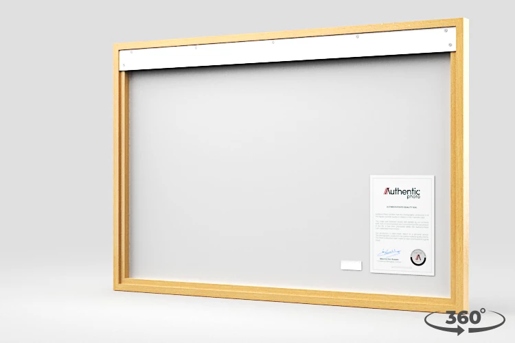 360 view of the product