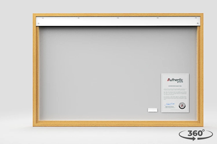 360 view of the product