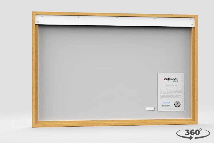 360 view of the product