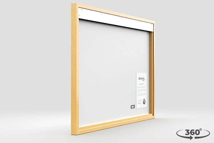 360 view of the product